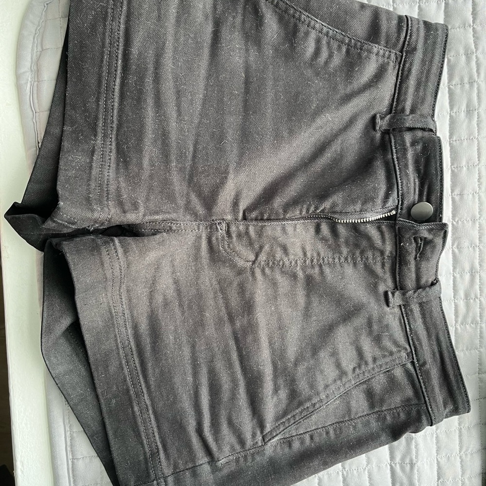 Everlane Cotton Twill Shorts